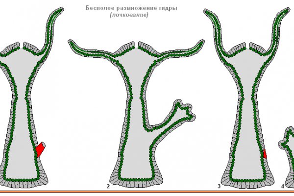 Замена hydra