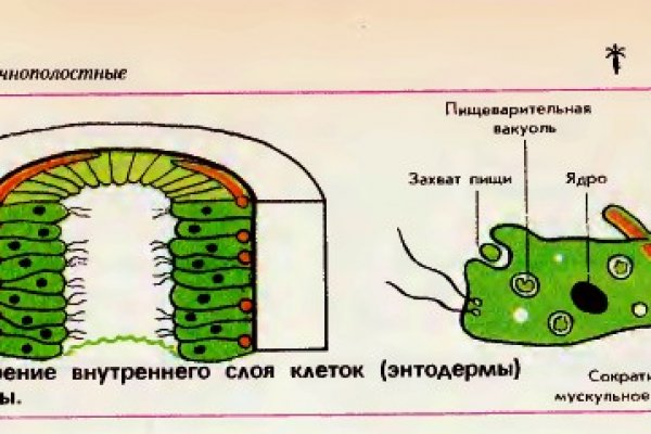 Как пополнять кракен тор